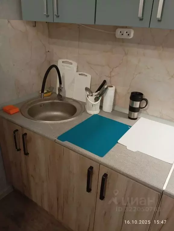 Студия Московская область, Подольск городской округ, д. Бородино ш. ... - Фото 2