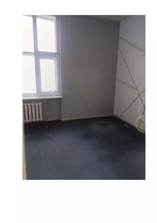Помещение свободного назначения в Новосибирская область, Новосибирский ... - Фото 2