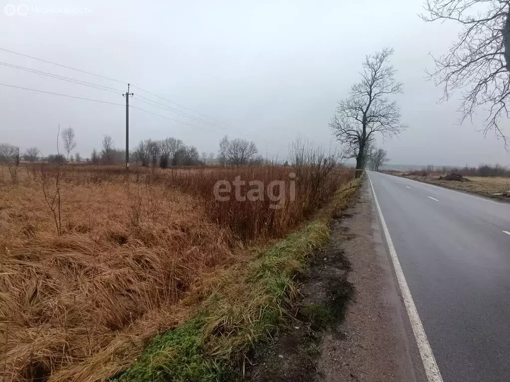 Участок в Калининградская область, Гурьевский муниципальный округ, ... - Фото 0