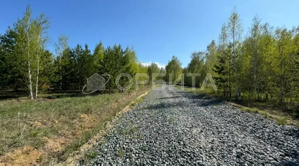 Участок в Тюменская область, Тюменский район, Новокаменский кп ул. ... - Фото 0