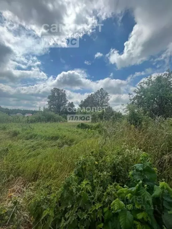 Участок в Башкортостан, Иглинский район, Балтийский сельсовет, д. ... - Фото 1