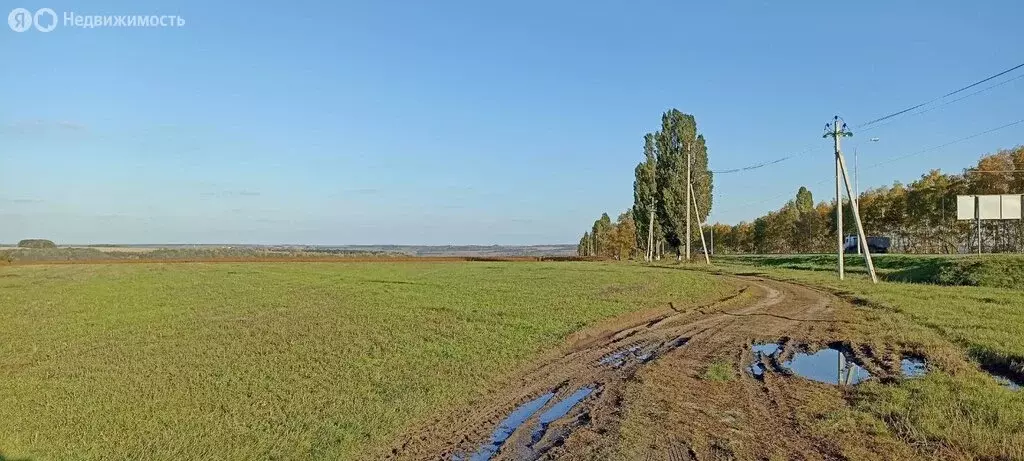 Участок в село Ломово, улица Мозгового, 24 (50 м) - Фото 1