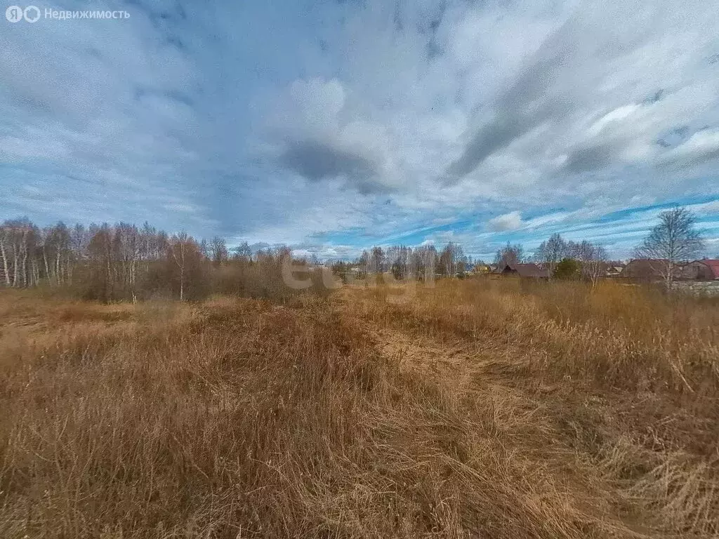 Участок в Нижнетавдинский район, товарищество собственников ... - Фото 1