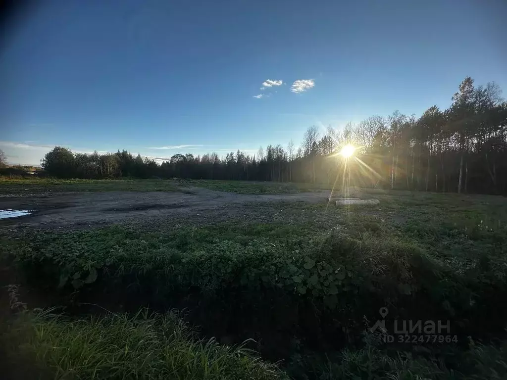 Участок в Новгородская область, Маловишерское городское поселение, д. ... - Фото 1