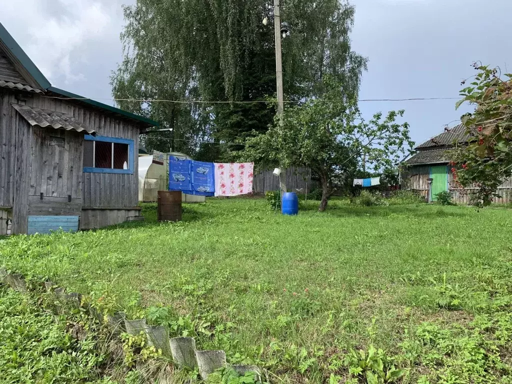 Участок в Тверская область, Осташковский городской округ, д. Свапуще  ... - Фото 1