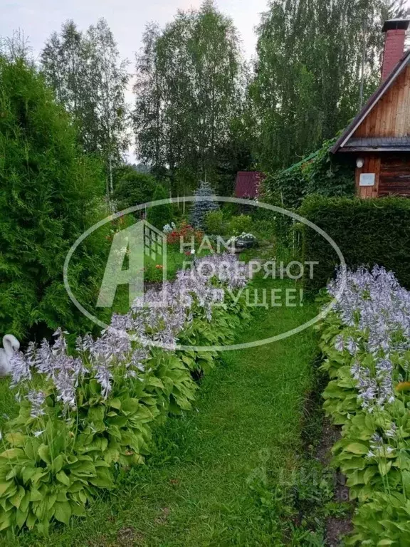Дом в Удмуртия, Глазовский район, Сосновое СНТ  (31 м) - Фото 2