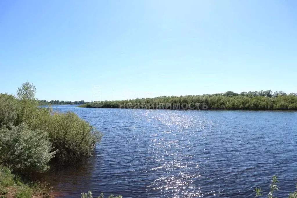 Участок в Новгородская область, Новгородский район, Бронницкое с/пос, ... - Фото 0