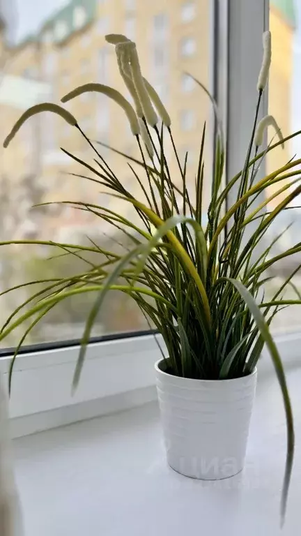 Помещение свободного назначения в Омская область, Омск Транссибирская ... - Фото 1