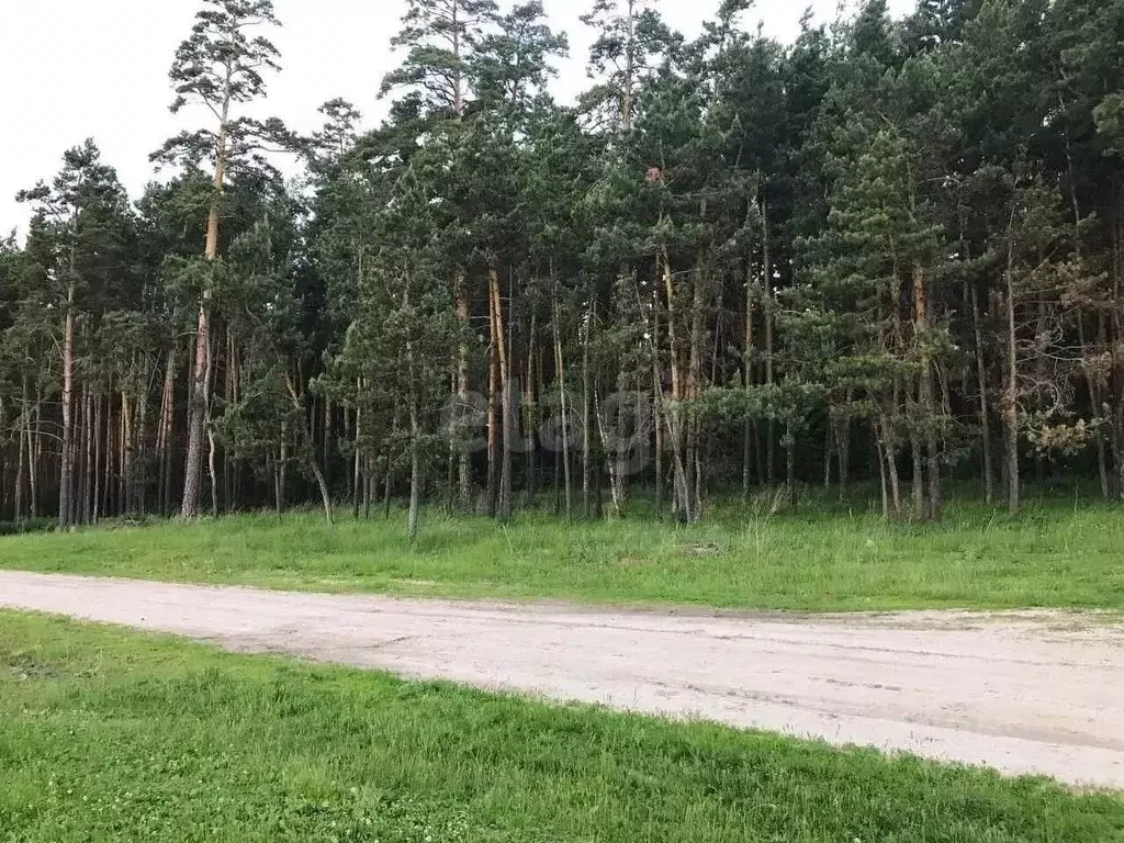 Участок в Новосибирская область, Ордынский район, с. Спирино ул. ... - Фото 1