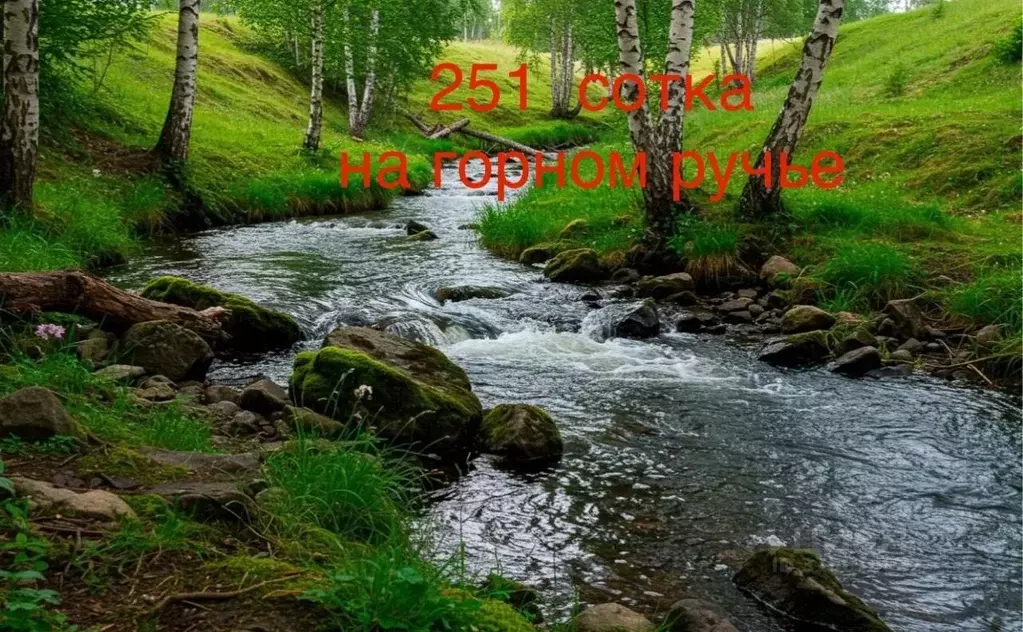 Участок в Алтай, Шебалинский район, с. Верх-Черга  (251.0 сот.) - Фото 1