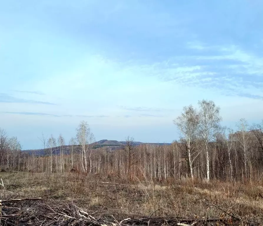 участок в башкортостан, октябрьский приозерный мкр, (8.0 сот.) - Фото 1