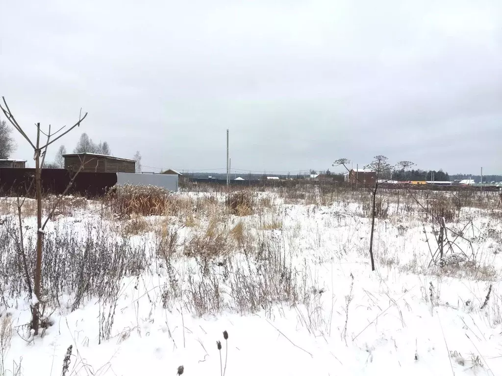 Участок в Московская область, Пушкинский городской округ, Золотые луга ... - Фото 0