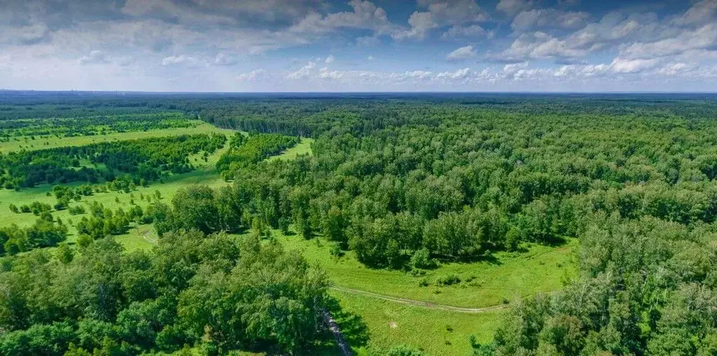 Участок в Новосибирская область, Новосибирский район, Кубовинский ... - Фото 1