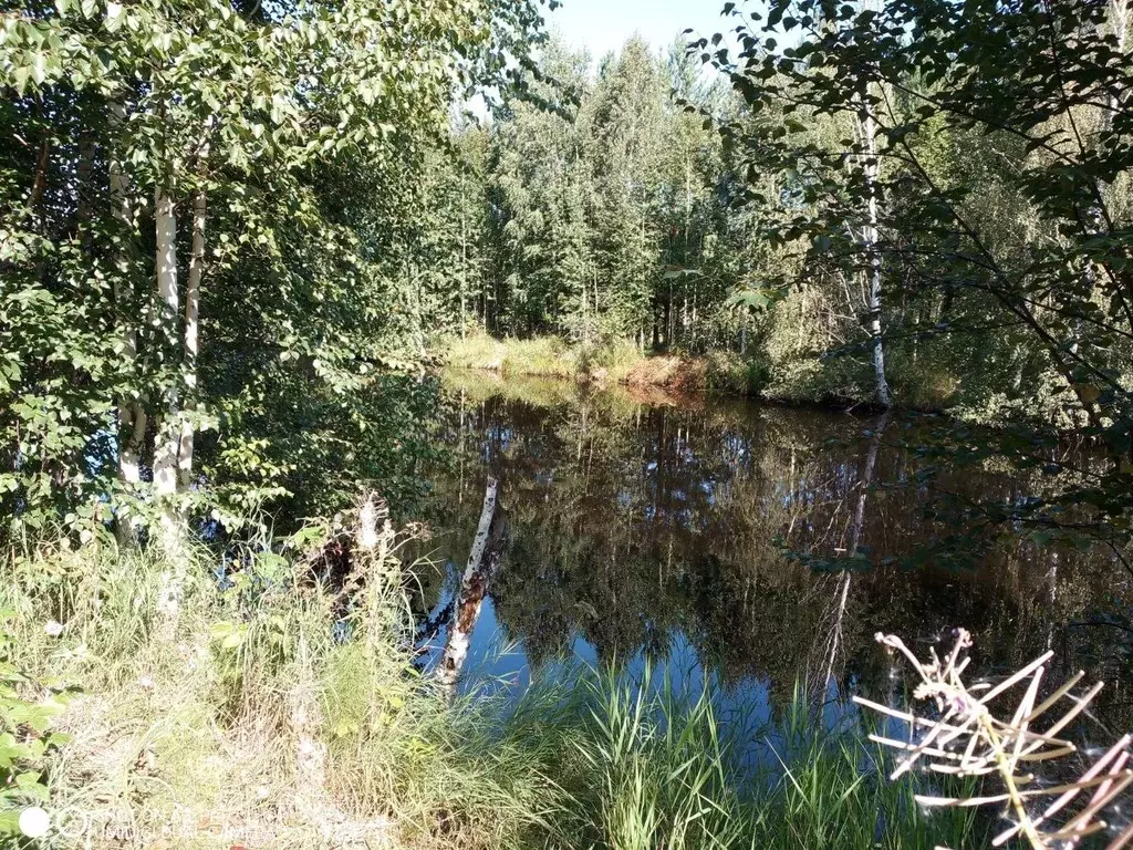 Участок в Свердловская область, Верхняя Пышма городской округ, пос. ... - Фото 0