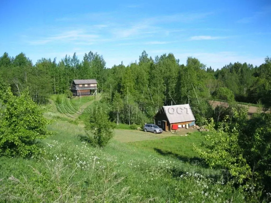 Дом в Псковская область, Стругокрасненский район, д. Вейтлус  (24 м) - Фото 0