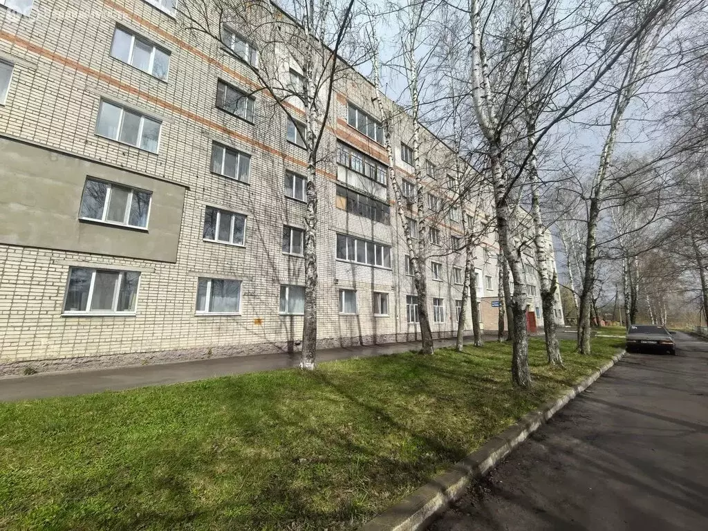 1к в 2-комнатной квартире (30.9 м) - Фото 2