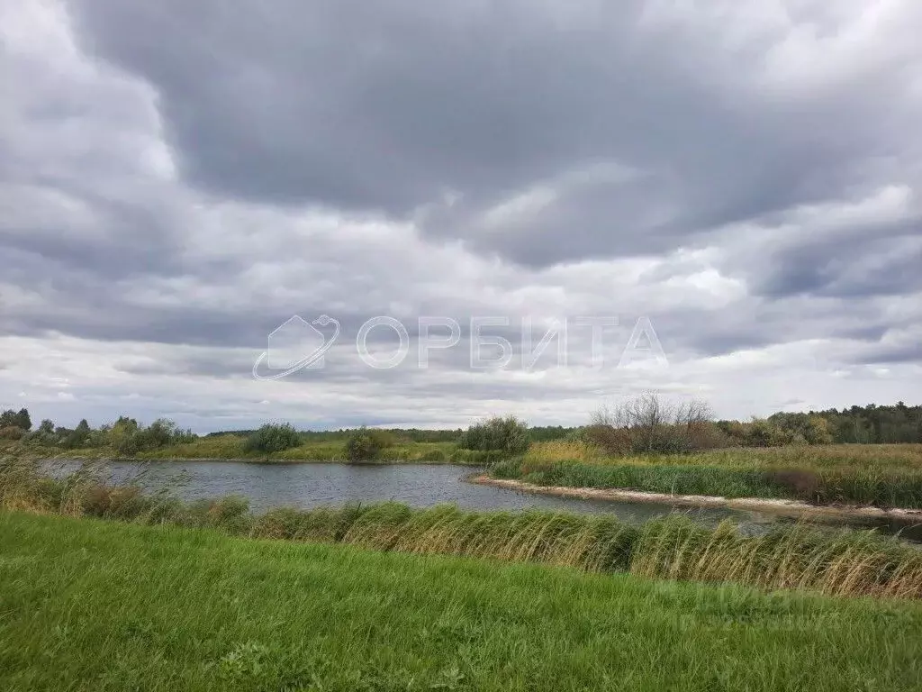 Участок в Курганская область, Куртамышский муниципальный округ, с. ... - Фото 1