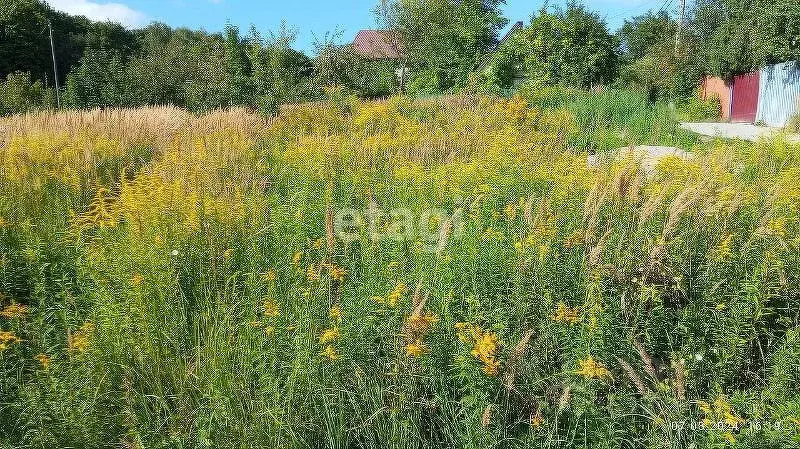 Участок в Калининградская область, Калининград Дружба-1 СНТ,  (7.4 ... - Фото 0