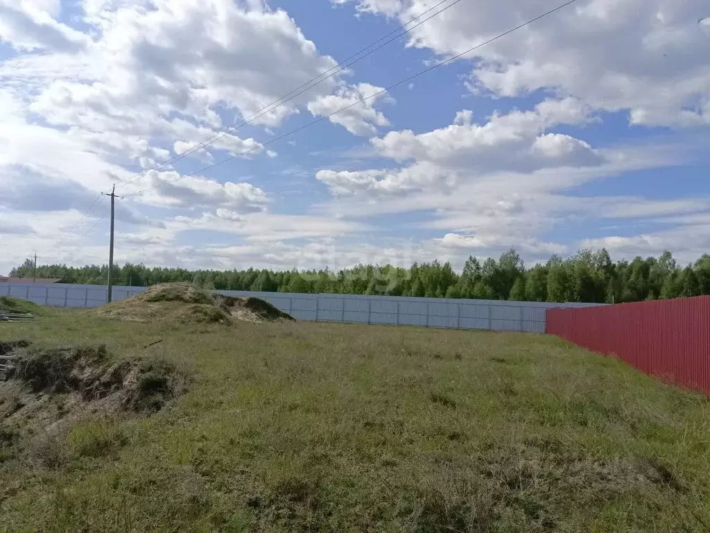 Участок в Нижегородская область, Выкса городской округ, с. Нижняя ... - Фото 0
