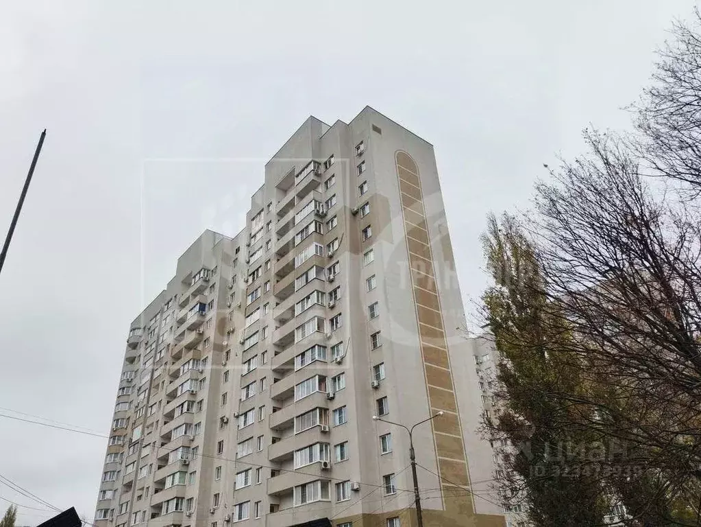 1-к кв. Воронежская область, Воронеж ул. Карла Маркса, 116а (39.0 м) - Фото 1