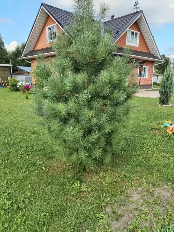 Дом в Новгородская область, Пестово ул. Волкова, 1В (145 м) - Фото 1