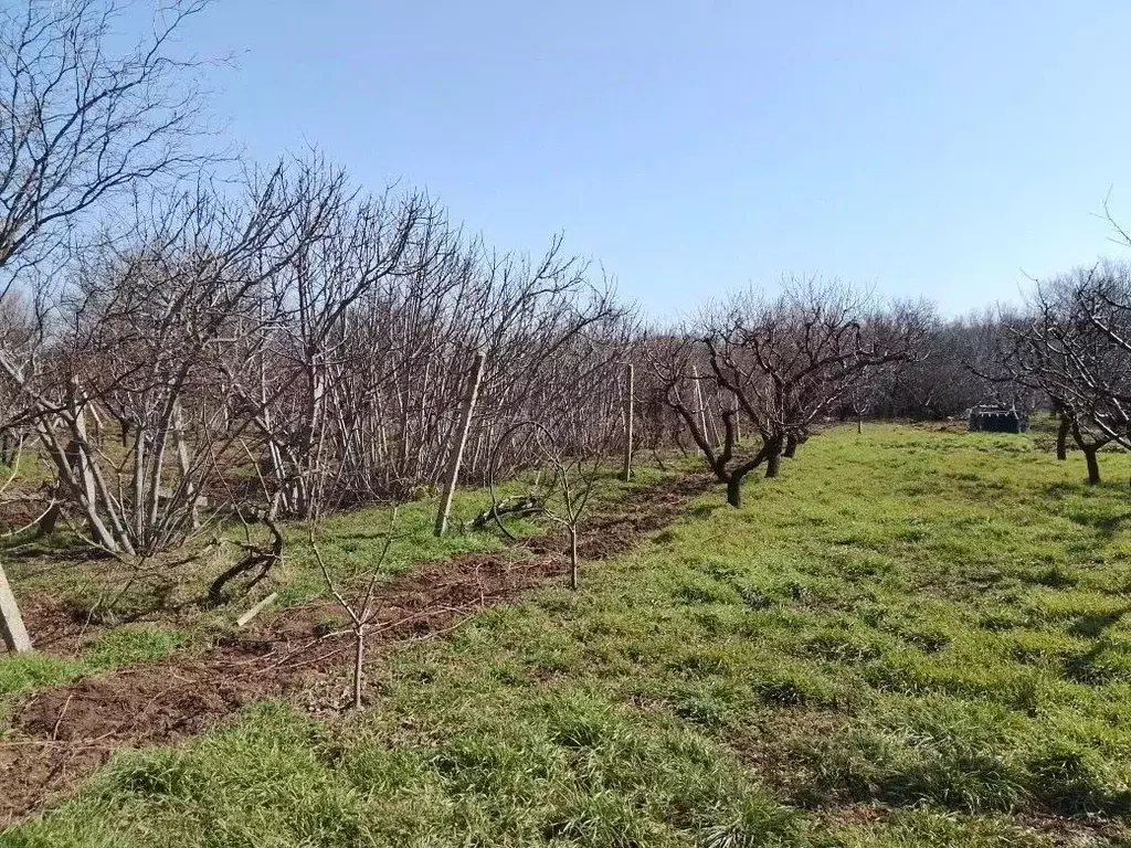 Участок в Севастополь Нахимовский р-н, Качинский муниципальный округ, ... - Фото 1