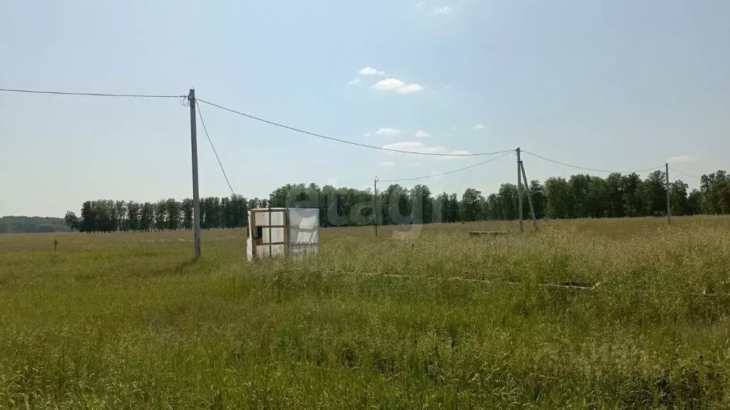 Участок в Новосибирская область, Ордынский район, д. Новый Шарап ... - Фото 0