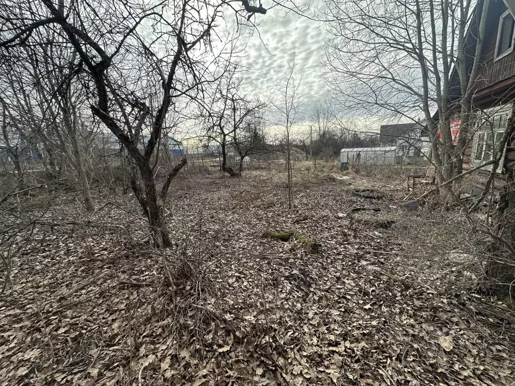 Участок в Ленинградская область, Тосненский район, Форносовское ... - Фото 2