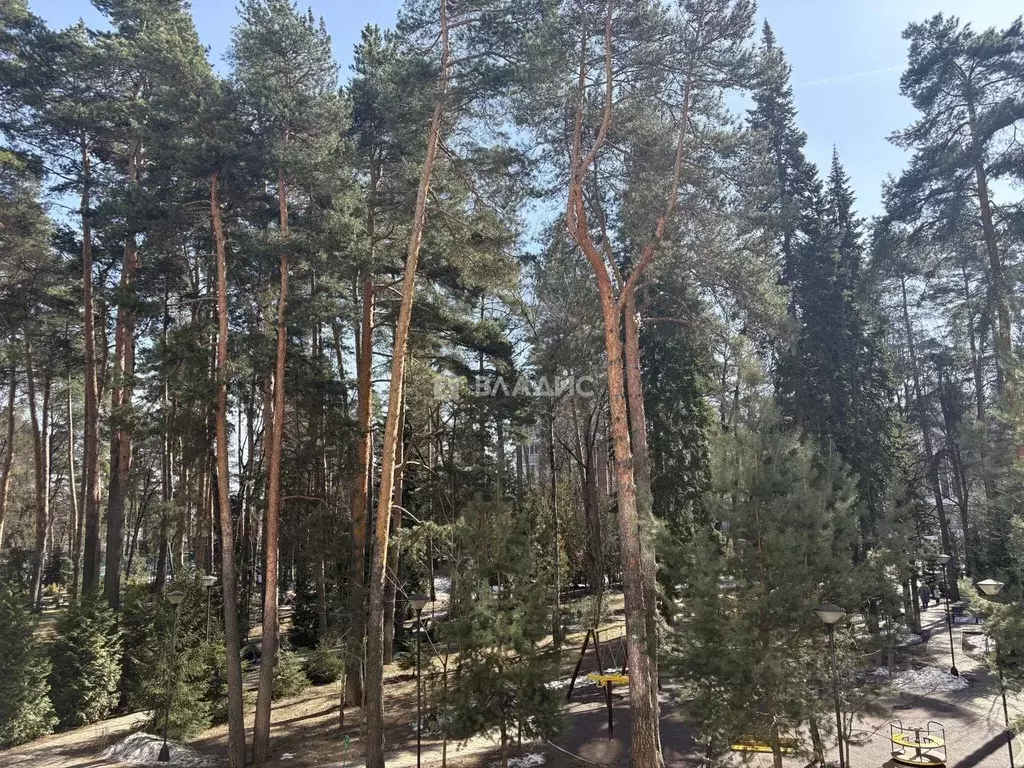 2-к кв. Московская область, Королев Пролетарская ул., 15/2с2 (75.0 м) - Фото 1