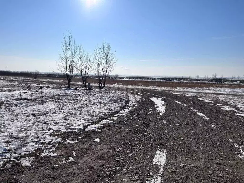 Участок в Забайкальский край, Чита Сосновая ул. (10.0 сот.) - Фото 0