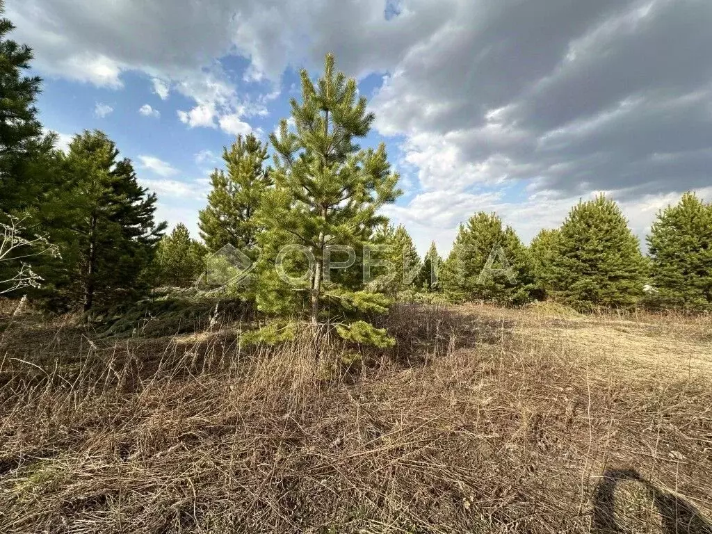 Участок в Тюменская область, Тюменский район, Новокаменский кп ул. ... - Фото 1