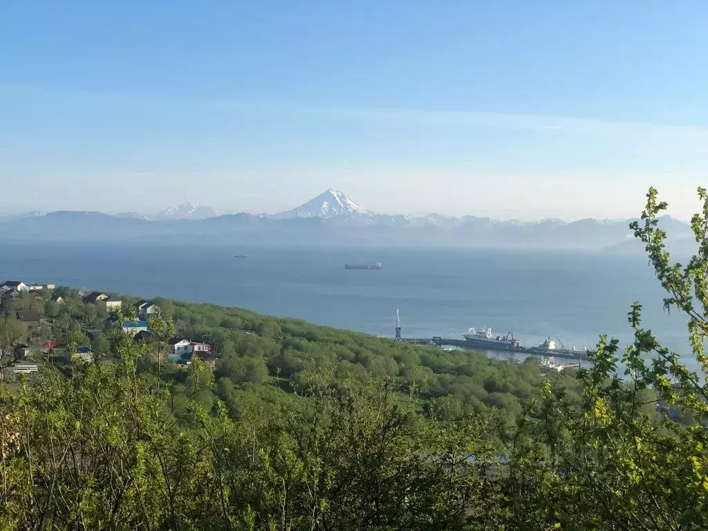 1-к кв. Камчатский край, Петропавловск-Камчатский ул. Войцешека, 15 ... - Фото 1