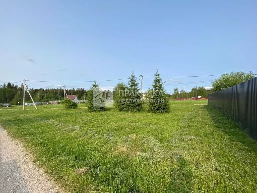 Участок в Москва д. Старогромово, Гавриково СНТ, 156 (6.0 сот.) - Фото 1