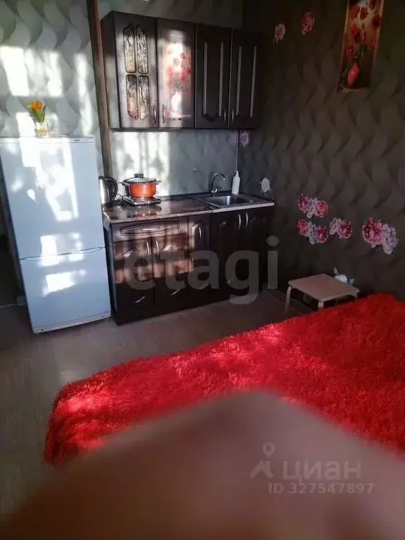 Студия Новосибирская область, Новосибирск Железнодорожная ул., 15/1 ... - Фото 2