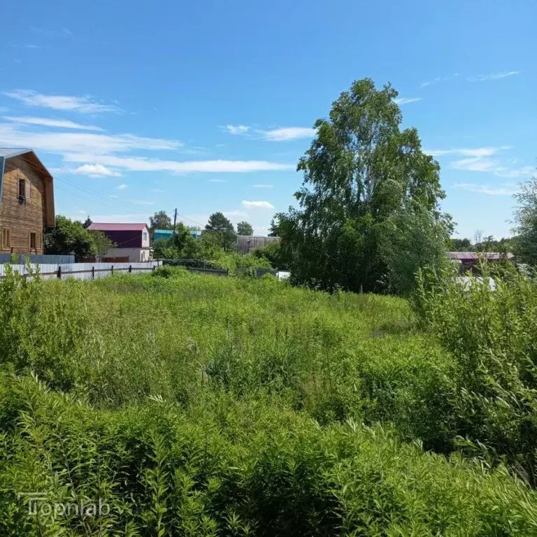 Участок в Татарстан, Казань Кооператор садоводческое товарищество, 232 ... - Фото 2