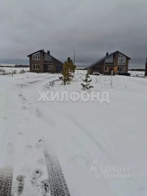 Участок в Новосибирская область, Мошковский район, пос. Октябрьский ... - Фото 2