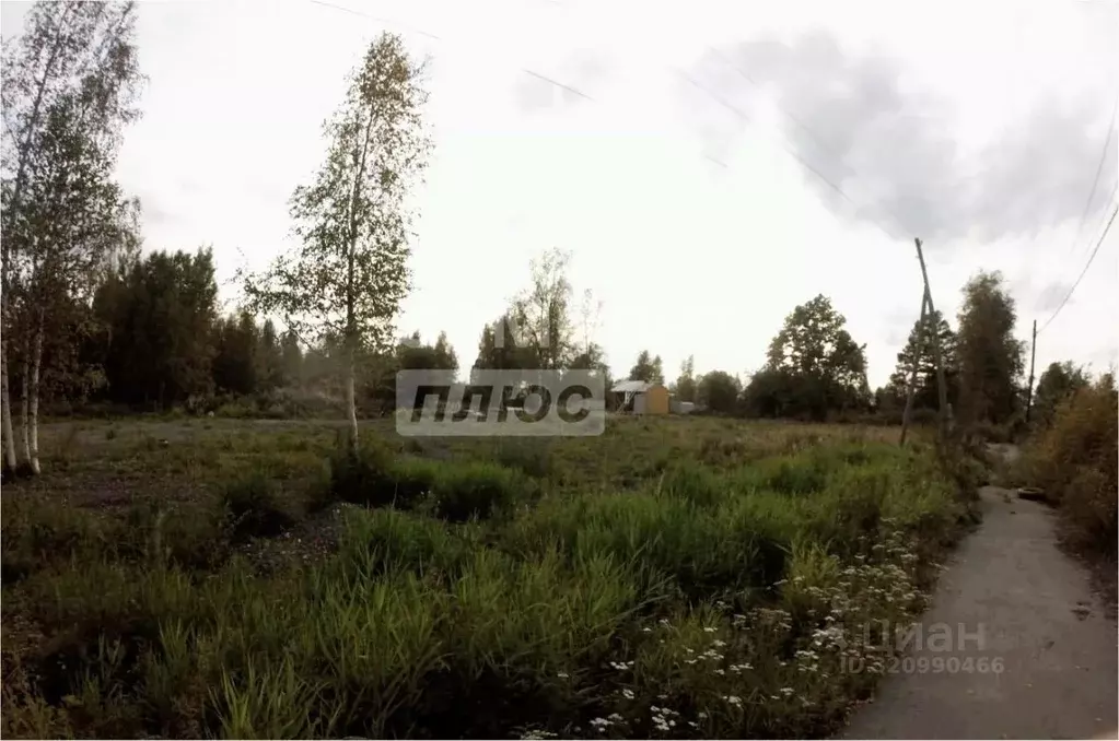 Участок в Карелия, Пряжинский район, пос. Чална Шоссейная ул., 38 ... - Фото 0