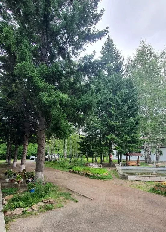 Студия Алтайский край, Барнаул ул. Гущина, 151 (15.0 м) - Фото 2