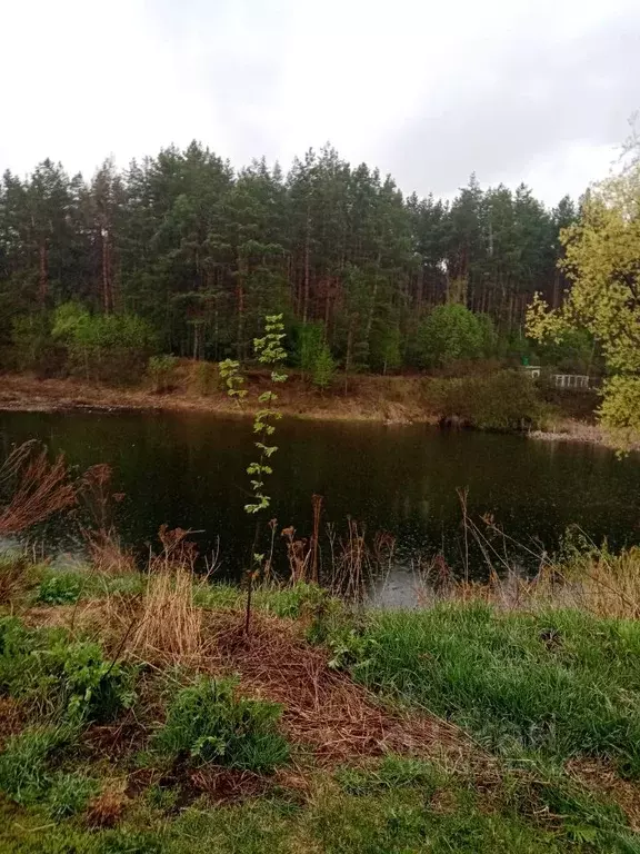 Дом в Пензенская область, Пенза Домостроитель СДТ,  (30 м) - Фото 1