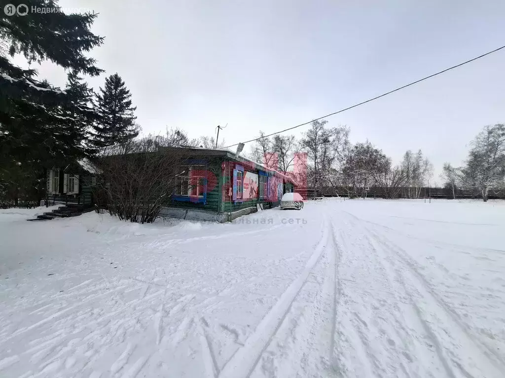 Помещение свободного назначения (53 м) - Фото 2