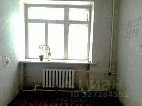 Помещение свободного назначения в Свердловская область, Тавда ул. ... - Фото 1