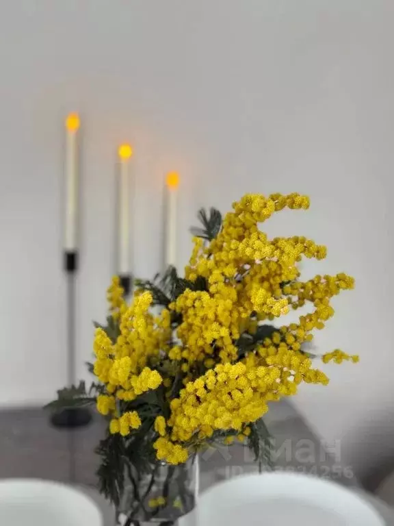 Дом в Московская область, Коломна городской округ, д. Шапкино ул. ... - Фото 1