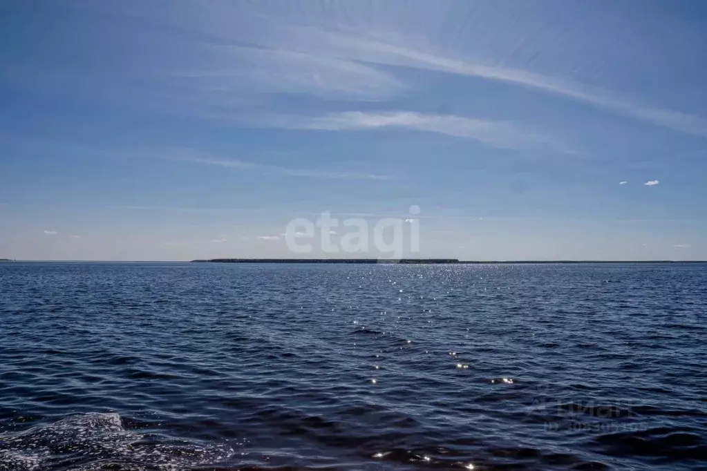 Помещение свободного назначения в Вологодская область, Череповецкий ... - Фото 1