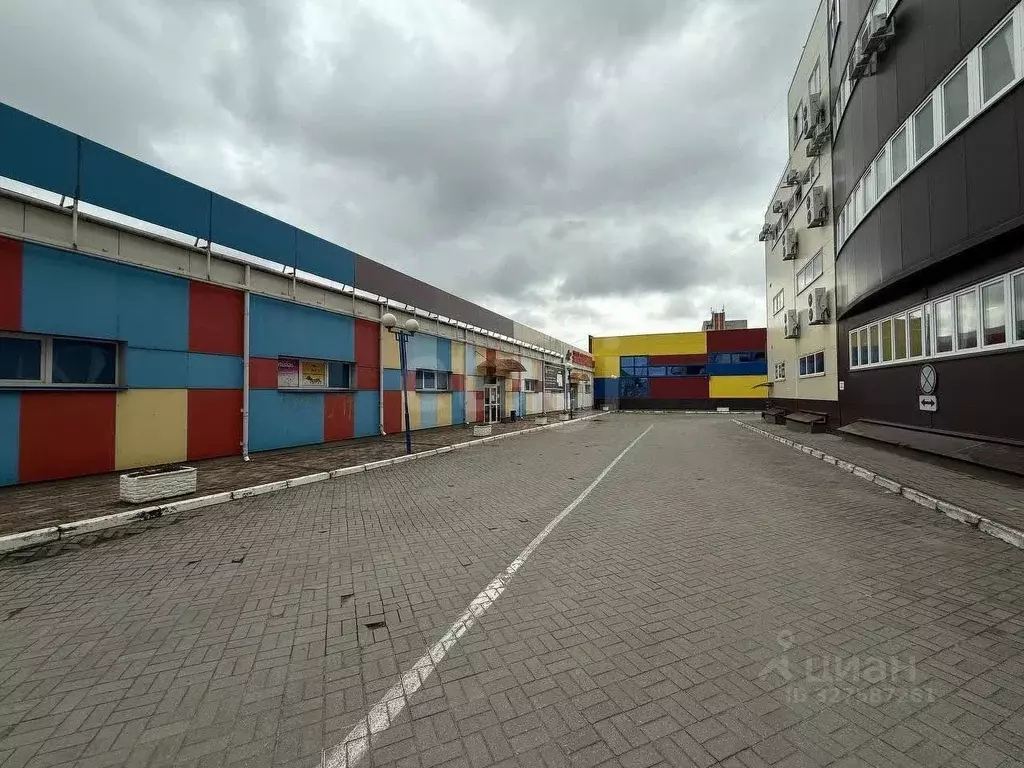 Торговая площадь в Брянская область, Брянск Красноармейская ул., 128 ... - Фото 1