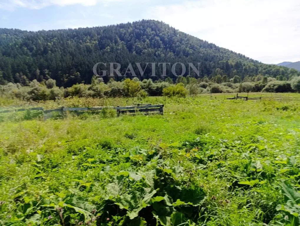 Участок в Алтай, Шебалинский район Р-256 Чуйский тракт, 506-й км (20.0 ... - Фото 1