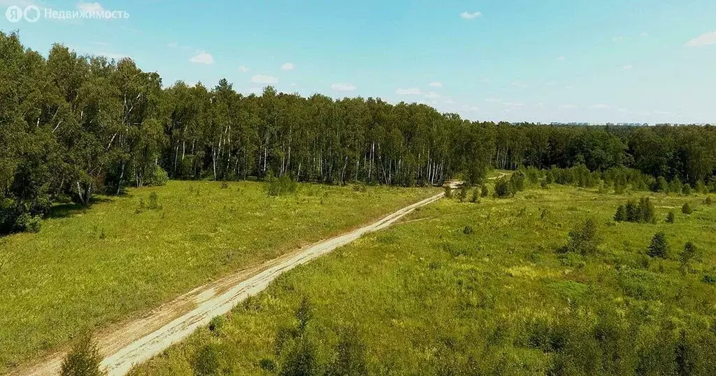 Участок в Московская область, городской округ Домодедово, село ... - Фото 0