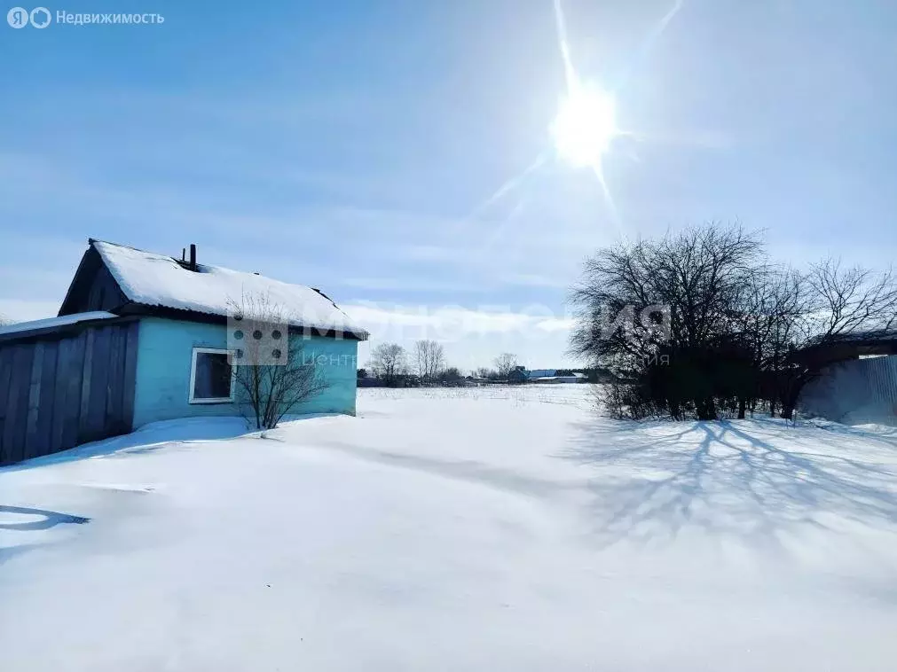 Дом в Амурская область, Серышевский муниципальный округ, село ... - Фото 2