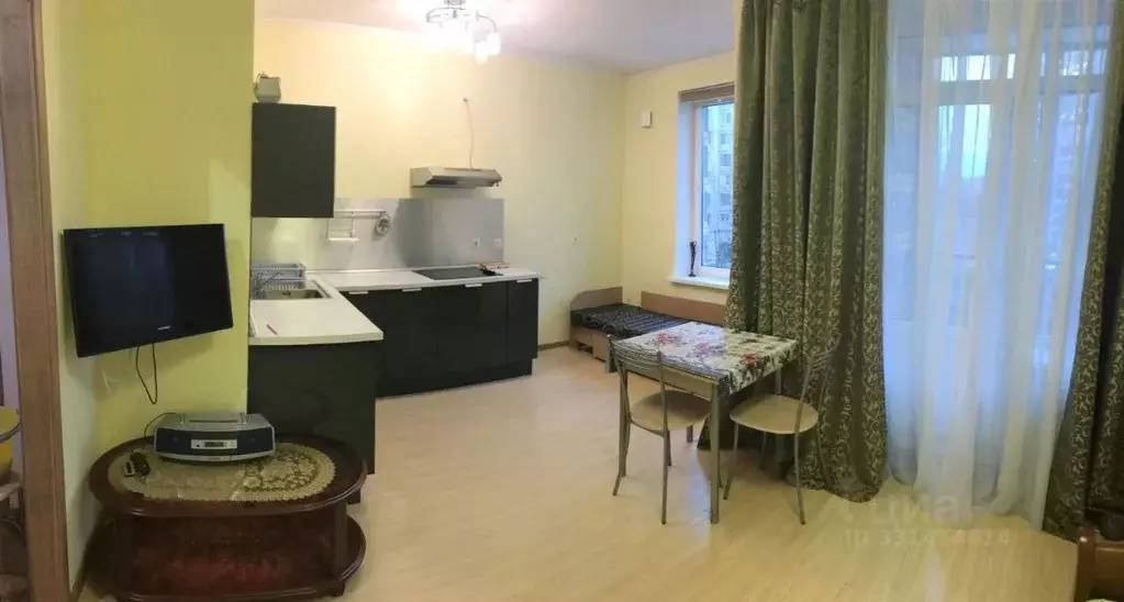 Студия Санкт-Петербург Пискаревский просп., 40к2 (29.4 м) - Фото 1
