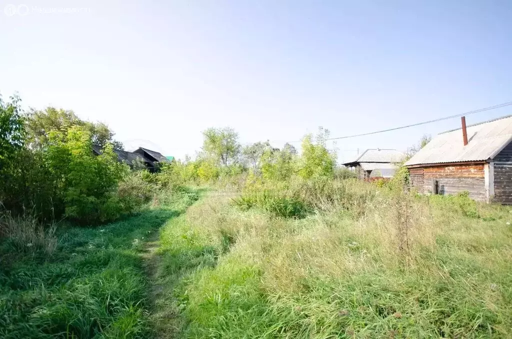 Участок в Тюменская область, Исетский муниципальный округ, село ... - Фото 2
