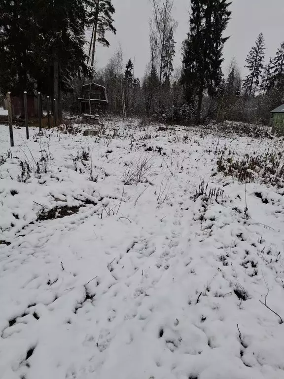 Участок в Московская область, Богородский городской округ, Металлист ... - Фото 2